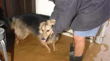 Sağanak Yağmur Bodrum'u Vurdu