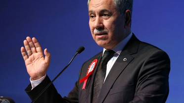 Başbakan Yardımcısı Arınç Açıklaması