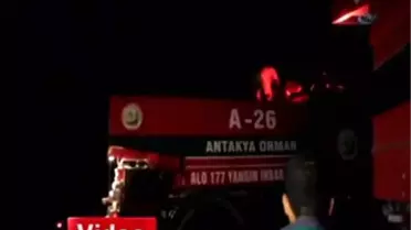 Hatay'da Orman Yangını