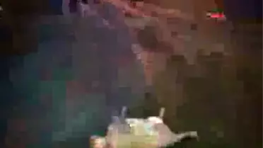 Yola Çıkan Köpekten Kaçan Genç Çiftin Bulunduğu Otomobil Ağaca Çarpıp İkiye Bölündü.