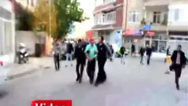 Bursa'da, Zeytin Hasadına Sinek Vuruğu Engeli