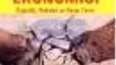 Darwin Ekonomisi Kitabı