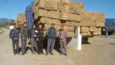 Havran'da Saman Pazarı Kuruldu