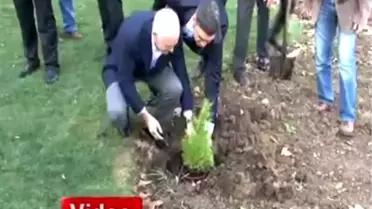 Papandreu, Gezi Parkı'na Fidan Dikti