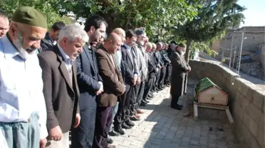 Anadolu Ajansı Muhabirinin Acı Günü