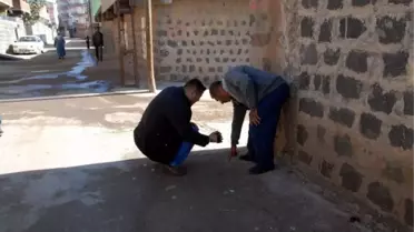 İlçe Merkezine İnen Domuz, Vatandaşa Saldırdı