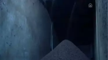 Fındığın İçi de Dışı da Kazandırıyor