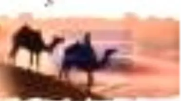 Şair Kitabı Çıktı