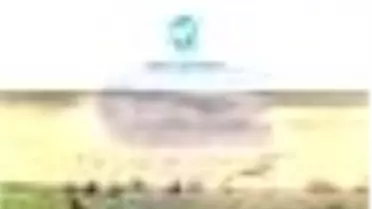 Amok Koşucusu Kitabı