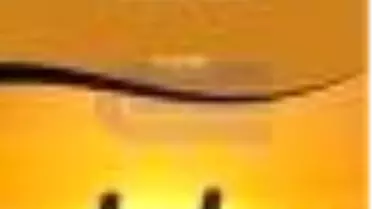 Aile Terapisi - Kavramlar ve Yöntemler Kitabı