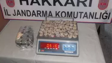 Jandarmadan Uyuşturucu Operasyonu