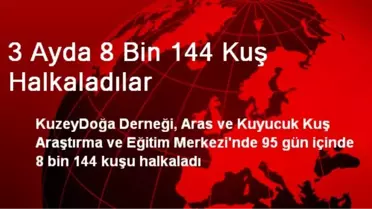 3 Ayda 8 Bin 144 Kuş Halkaladılar