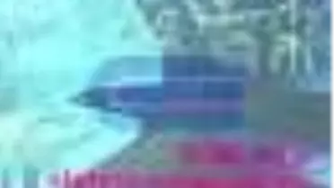 Türk Dili Sibirya Halklarının Şamanizmi Kitabı