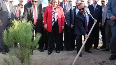 ''Üniversitelerimizi ağaçlandırıyoruz'' projesi