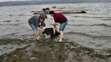 Sapanca Gölü'nde Erkek Cesedi Bulundu