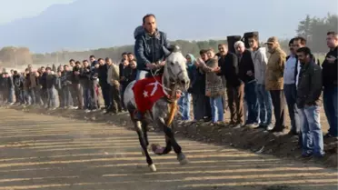 Rahvan Atları ile Bin Yıllık Gelenek Yaşatıldı