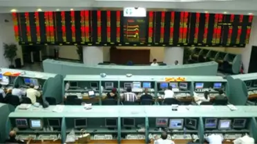 Yatırımcı Rehberi