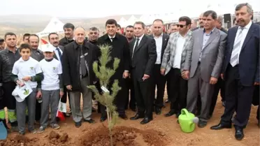 Gaziantep'te 10 Bin Fidan Toprakla Buluştu