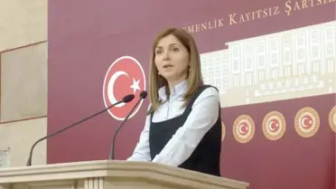 Cumhuriyetten Günümüze Türk Kadınının Siyasetteki Yeri Konferansı