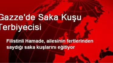 Gazze'de Saka Kuşlarını Eğitiyor