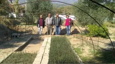 16 Fidan Üreticisi Fidanlarının Etiket Sertifikarını Aldı