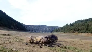 İstanbul Barajlarındaki Su Miktarı Önceki Yıllara Göre Azaldı