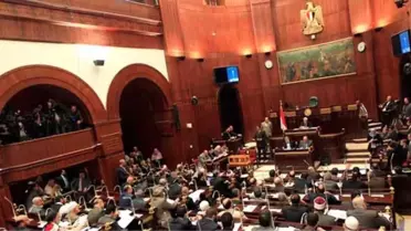 Mısır'da Değiştirilmiş Anayasa Taslağının Tamamını Onaylandı
