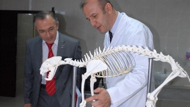 Öldürülen Vaşak Üniversite Öğrencilerine Ders Gereci Oldu