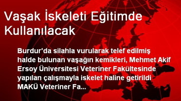 Vaşak İskeleti Eğitimde Kullanılacak
