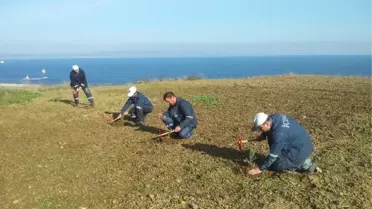 Engelli İşçiler 2 Bin Fidan Dikti