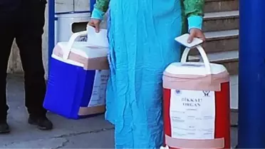 Beyin Ölümü Gerçekleşen Kadının Organları Ailesince Bağışlandı