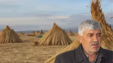 Ekmeklerini Bataklıktan Kazanıyorlar