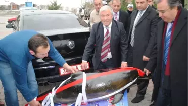 Kaymakamın Makam Aracından 'Yunus' Çıktı
