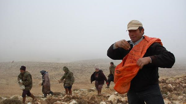 Toroslar Sedir ile Buluşuyor