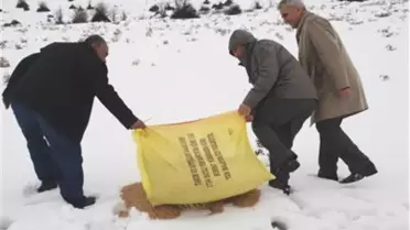 Yaban Hayvanlarına Yem Desteği