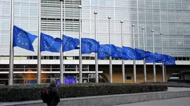 AB Bayrakları, Mandela'nın Ölümüyle Yarıya İndirildi