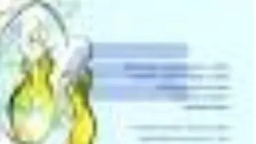 Şimdi Moda Artık Büyük Bedenler Kitabı