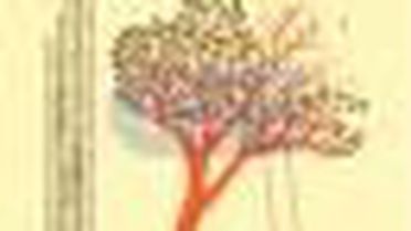 Kitapçı - Kültür Sanat ve Kitap Tanıtım Dergisi (Kasım - Aralık 2013) Kitabı
