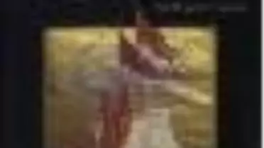 Korsan Yuvası Kitabı