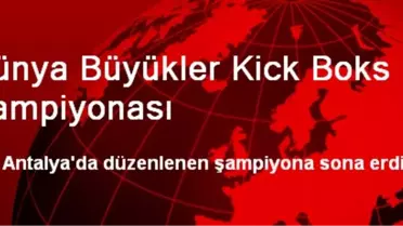 Dünya Büyükler Kick Boks Şampiyonası
