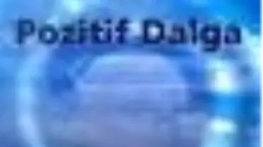 Pozitif Dalga Kitabı