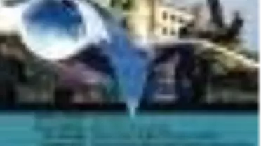 Bilgi Dergisi Sayı: 26 Kitabı Çıktı