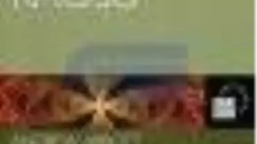 Disiplinlerin Kaosu Kitabı