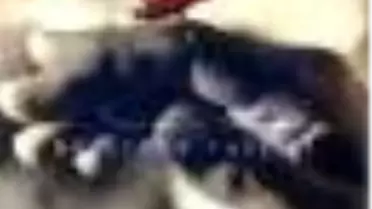 Evlilik ve Ahlak Kitabı