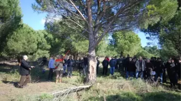 Geniş Katılımlı Fıstıkçamı Spiral Dal Budama Tatbikatı Yapıldı