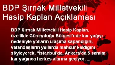 BDP Şırnak Milletvekili Hasip Kaplan Açıklaması
