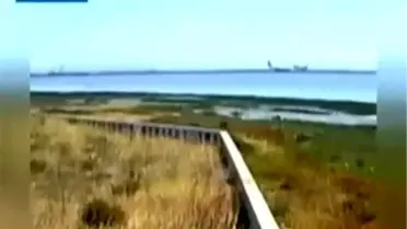 Stajyer Pilot Felakete Neden Oldu