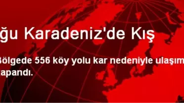 Doğu Karadeniz'de 556 Köy Yolu Ulaşıma Kapandı