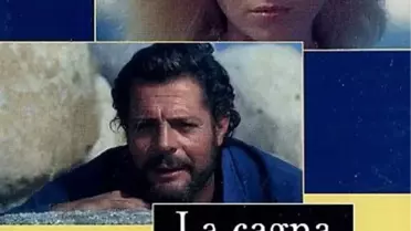 Çılgın Fahişe Filmi