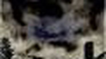 Cimri Palyaço Kitabı Çıktı